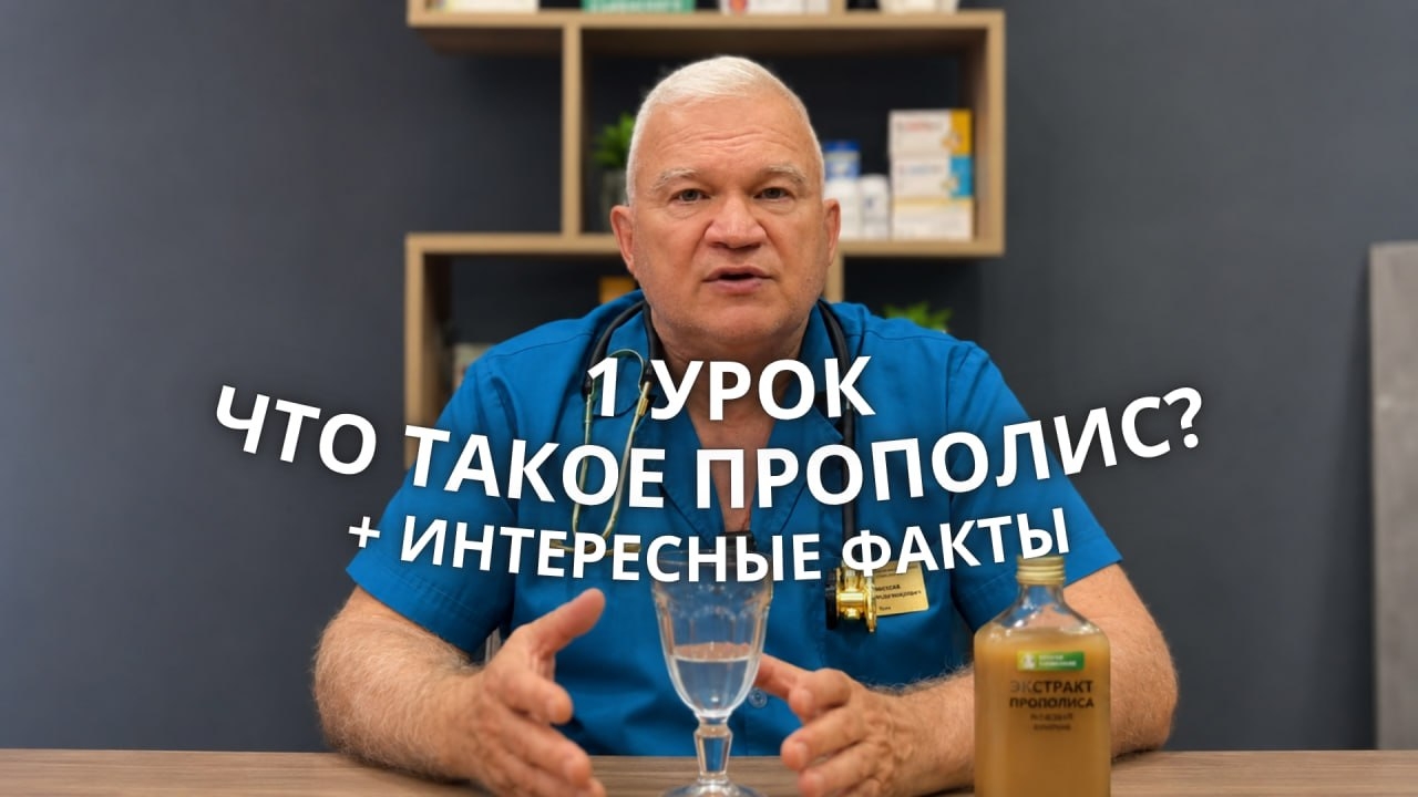 Обложка первого урока курса: «Что такое прополис? + интересные факты»